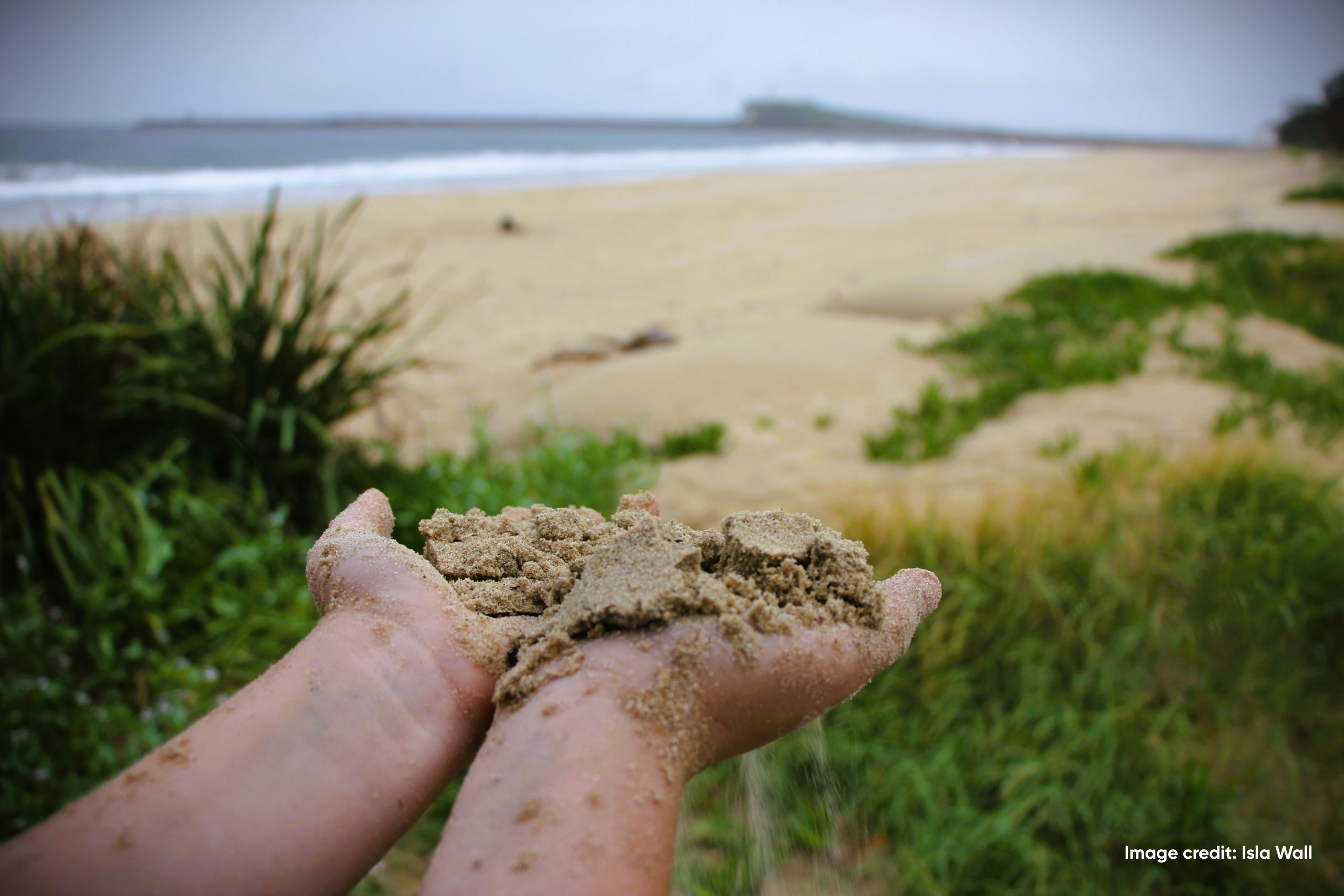 Photo shows hands holding sand at Stockton Beach.