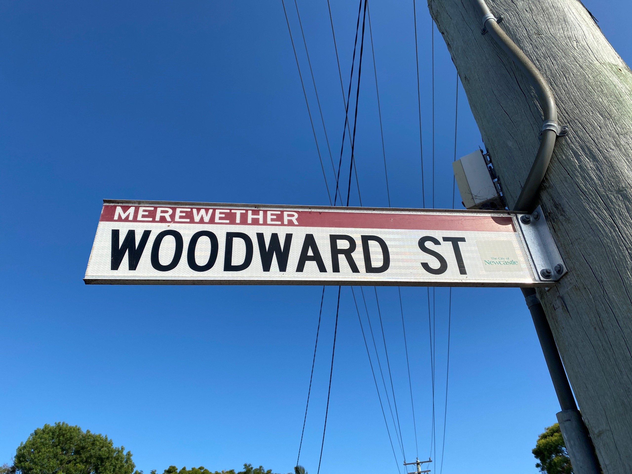 Woodward Street Road and Embankment Upgrades Have Your Say Newcastle