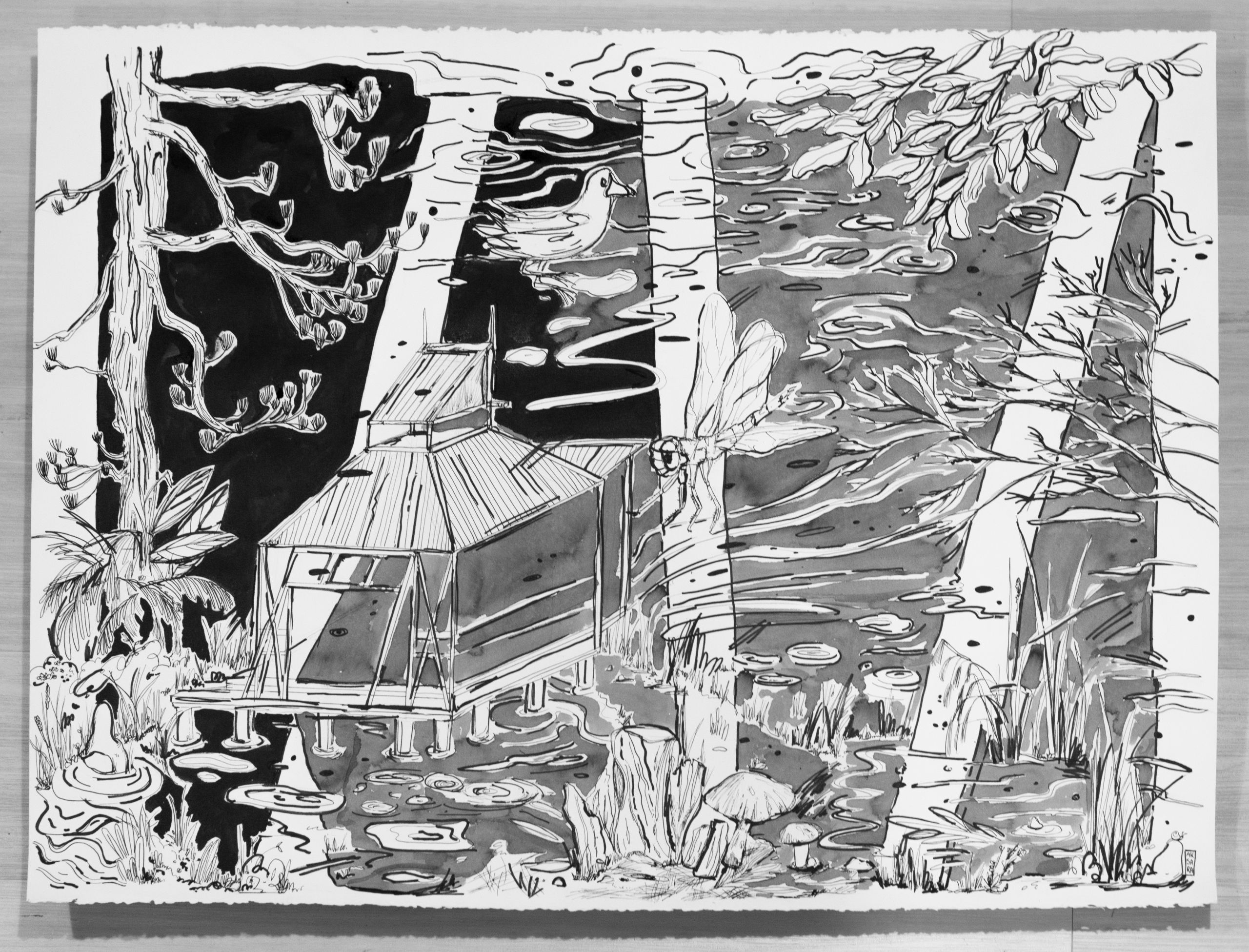 Soft light as the day turns