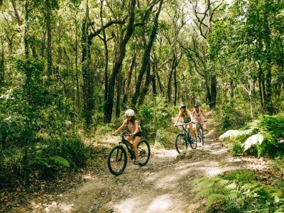 Image of two kids riding their bikes through bushland